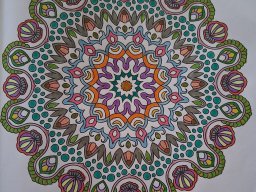 whatsapp bild 2025-04-11 um 18.20.01_fa072854